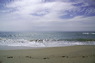 strand.pict3716