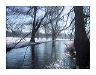 bach-englischer-garten-klei